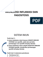 Imunologi Inflamasi Dan Fagositosis