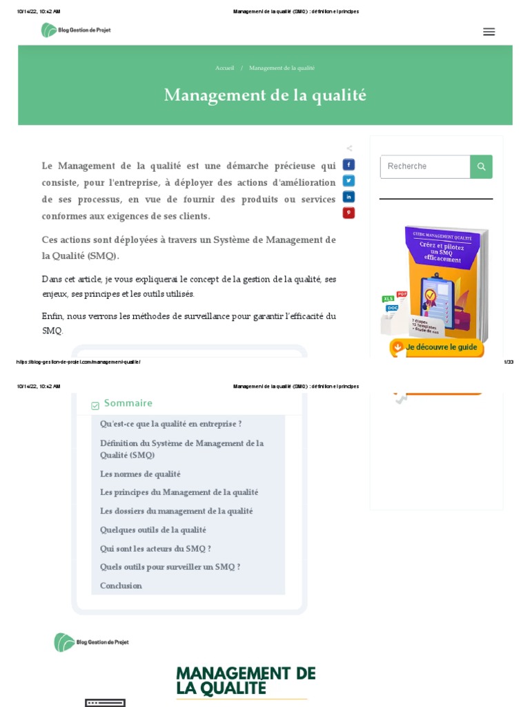 Management de La Qualité (SMQ) - Définition Et Principes | PDF ...