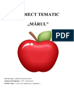 Proiect Tematic