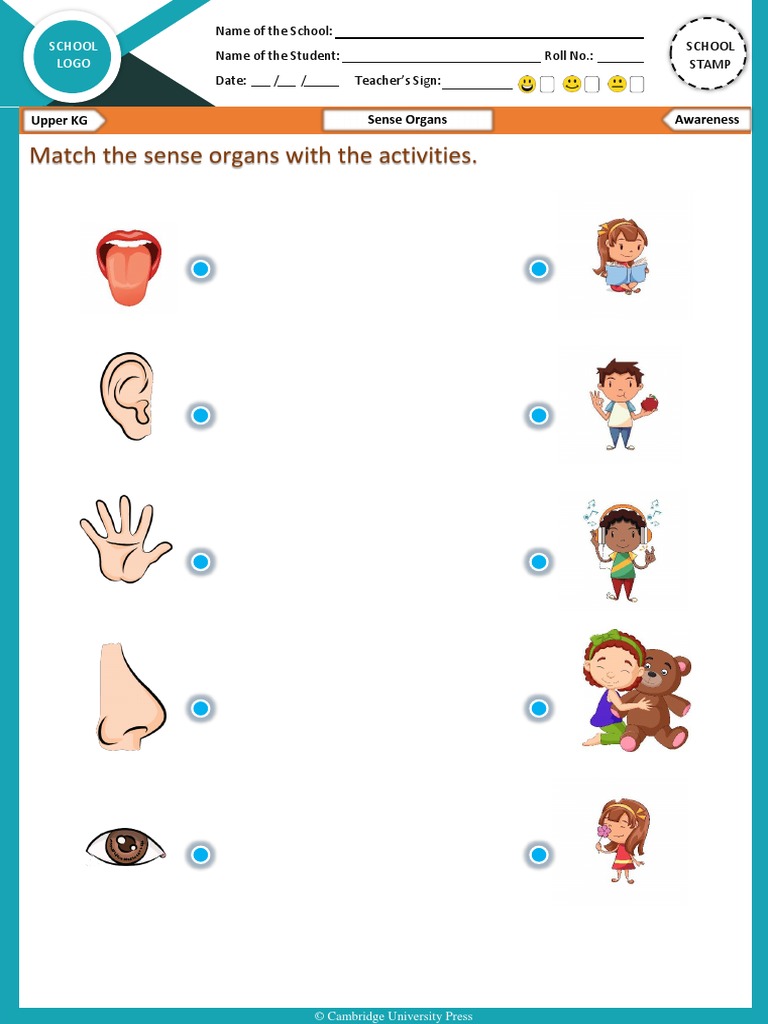My First Steps With Cambridge UKG | PDF | Phonics | Cognition
