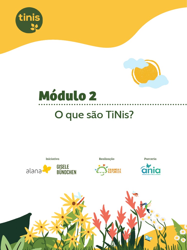 tinis-modulo-2-o-que-sao-tinis-e-suas-possibilidades-pdf
