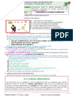 V-Ciencia - Cadena Alimenticia - Ficha