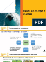 Fluxos de Energia e Materia Num Ecossistema