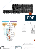 13 Sistema Nervioso Central (Autoguardado)