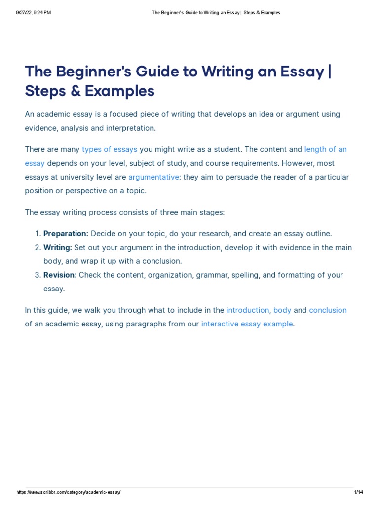 beginner essay