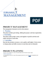 PM Ch 3 Project Mgmt