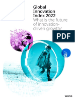 Gii Full Report 2022