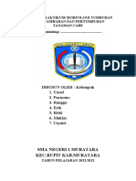 LAPORAN PRAKTIKUM MORFOLOGI TUMBUHAN Cabe