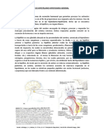 Eje Hipotálamo Hipofisario Adrenal