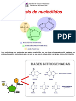 Síntesis de Nucleótidos