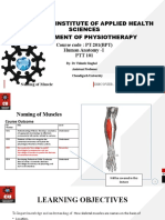 Naming of Muscles
