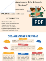 Organizaciones Privadas - Diseño Org.