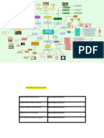 Organismos del pasado: fósiles y sus ramas de estudio