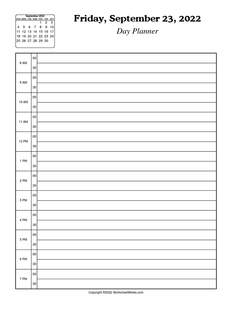 WorksheetWorks Hourly Day Planner 3 PDF