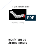 Biosintesis y Degracion de Lípidos