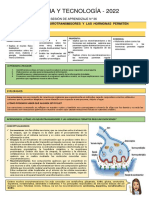 CyT5-U6-SESION 7-FICHA