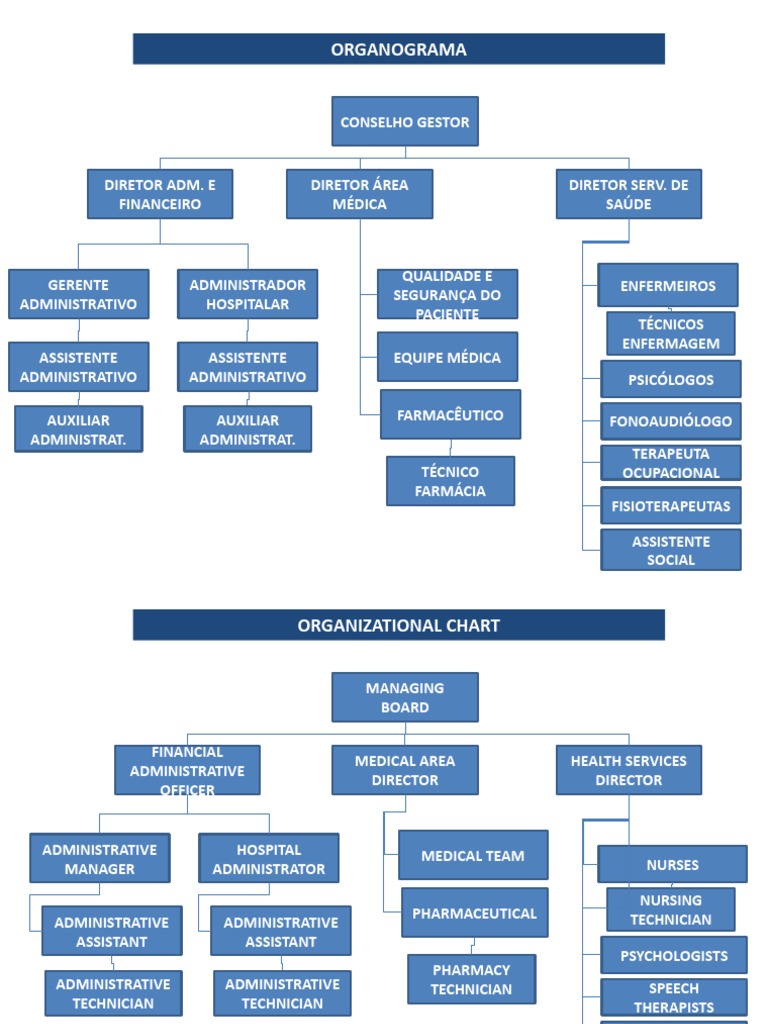Hospital Organizational Chart Overview | PDF | Health Care | Life Sciences