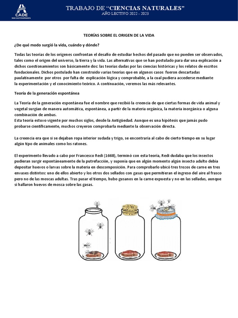 Teorías Del Origen de La Vida | PDF | Naturaleza | Ciencias fisicas