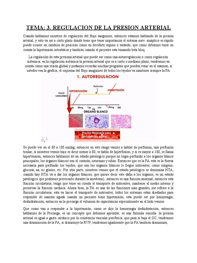 Regulación de la presión arterial: mecanismos nerviosos y hormonales ...