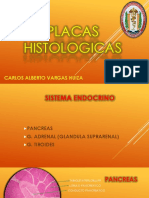 Placas Histologicas Endocrino, Tegumentario, Respiratorio