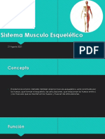 Sistema Musculo Esquelético