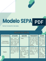 Modelo SEPA