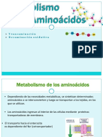 Metabolismo Aminoacidos