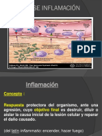 Clase 1 Inflamación