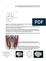 Patella