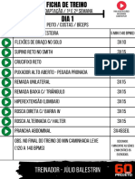 Treino completo para peito, costas, bíceps e pernas