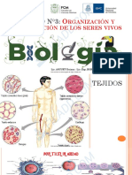 Unidad N3 - Organizacion y Reproducion de Los Seres Humanos 1