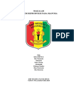 Makalah Sistem Reproduksi Pada Manusia Eka Nurjanah