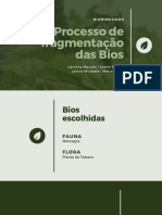 Processo de Fragmentação Das Bios: Biomimetismo