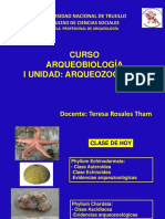 5-Arqueobiol 2022-Equinod y Cordados
