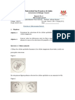 Microscopía de células y tejidos vegetales