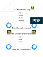 The Lifecycle of a Frog Before