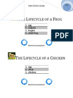 The Lifecycle of a Frog After