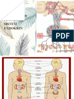 3. Anatomi Dan Fisiologis Sist Endokrin
