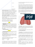 A1 PT - Anatomia Das Estruturas de Suporte para Prótese Total