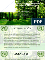 Exposicion de Ambiental 7