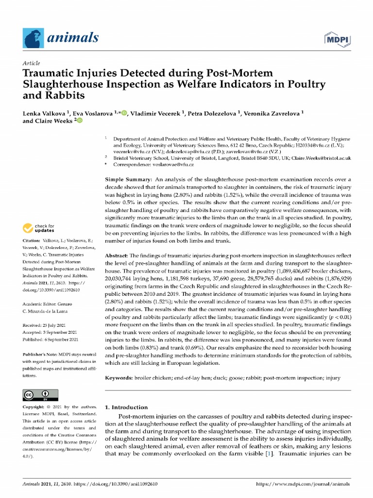 traumatic-injuries-detected-during-post-mortem-slaughterhouse