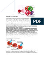 Funciones de La Hemoblogina y Mioglobina