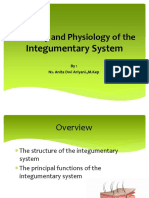 Anatomy and Physiology of The Integumentary System New