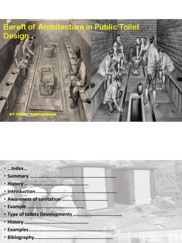 Bereft of Architecture in Public Toilet Design PDF Toilet Hygiene