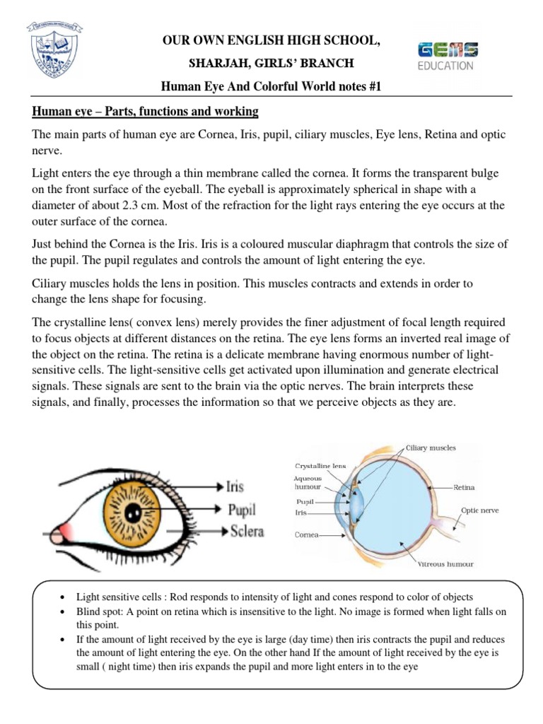 Human Eye and Colourful World - Notes - 1 | PDF | Eye | Human Eye