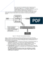 Cheminement Des Xenobiotiques Dans Organisme