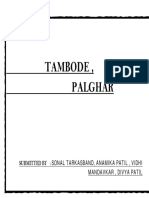 Tambode Survey Report