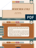 Kelompok 4 - Escherichia Coli Bakteriologi Ii