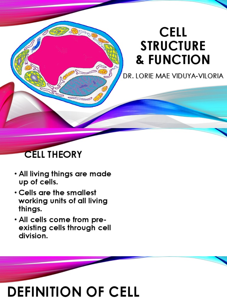 Cell Structure | PDF | Cell (Biology) | Cytoplasm