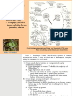 Imágenes Reproducción Caudata y Gymnophiona